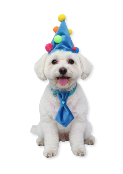 Kravatlı Köpek Doğum Günü Seti