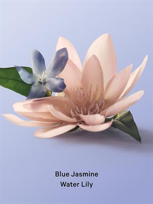 Blue Jasmine Water Lily Köpük Vücut Peelingi