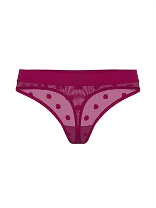 Logolu Transparan Tanga