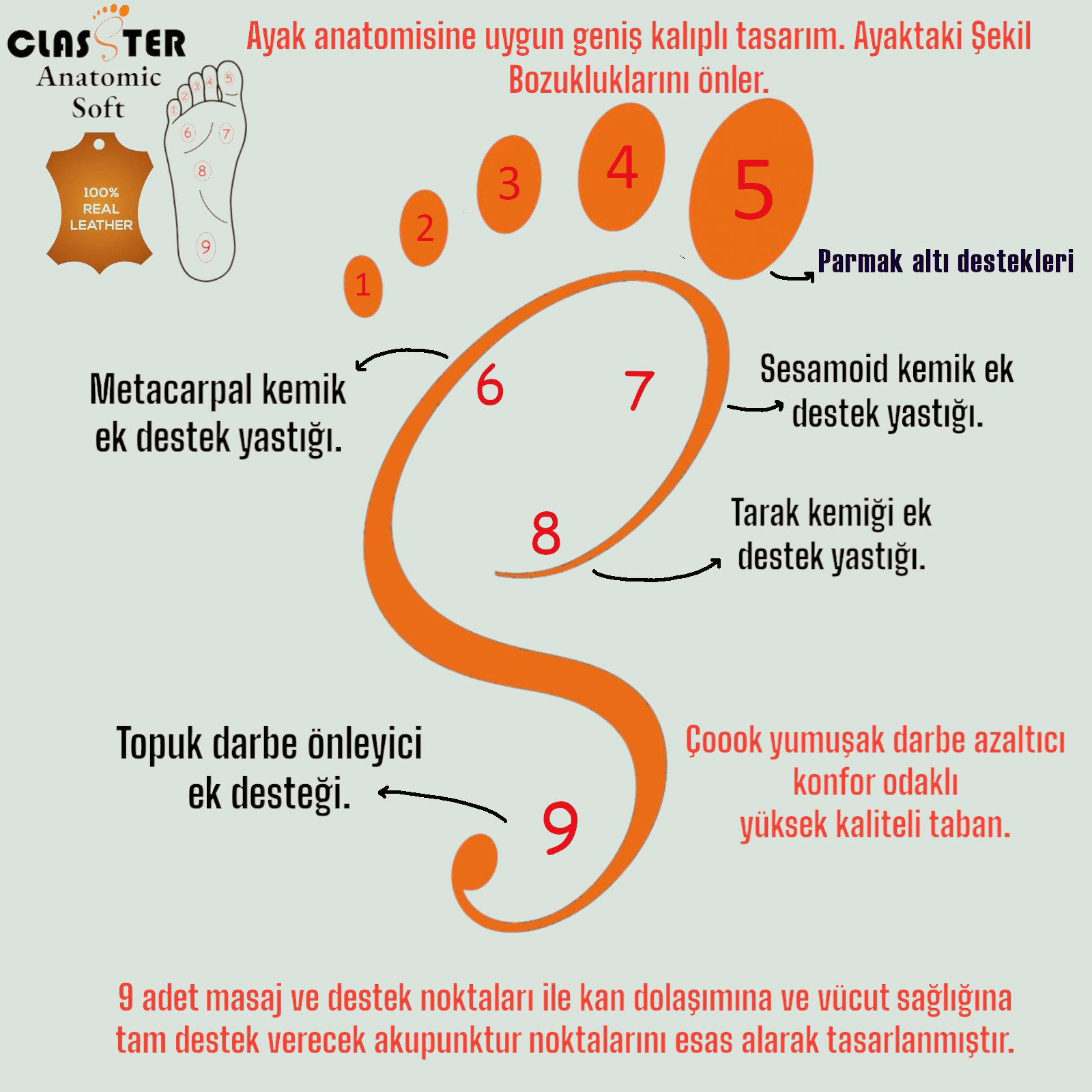 CLASSTER Soft Anatomic taban tasarımı infografiği