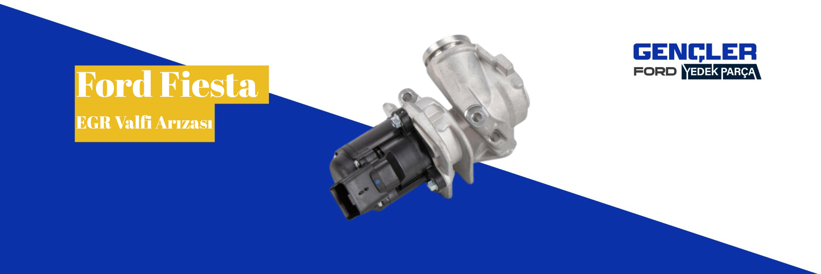 Ford Fiesta EGR Valfi Arızası