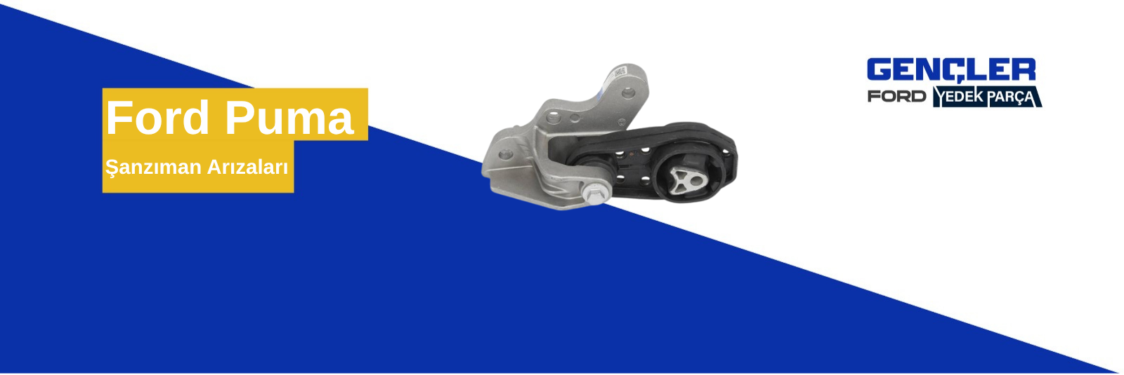 Ford Puma Şanzıman Arızaları