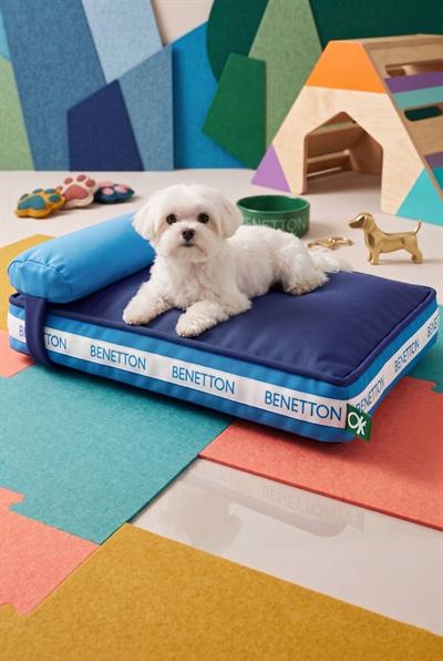 BE-2920-BL Yastıklı Kedi & Köpek Yatağı Mavi 60X40X10 cm