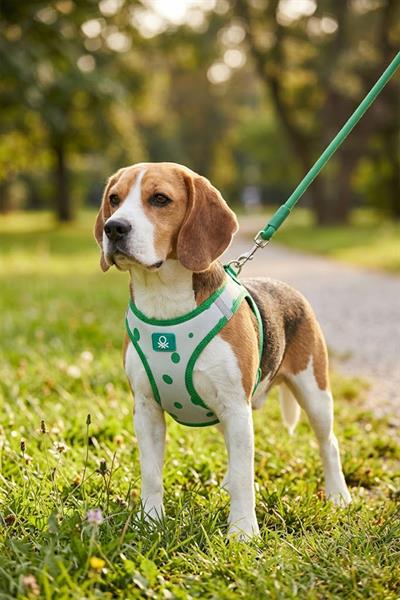 BNT-A2503 Hava Ağ Puantiyeli Yeşil