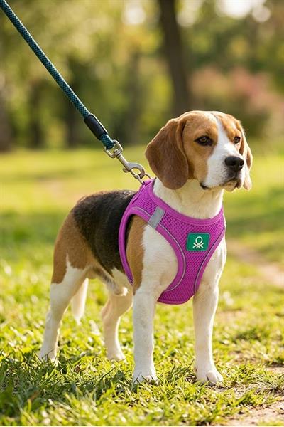 BNT-A2505 Hava Ağ Mor