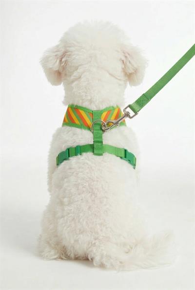 BNT-A2506 Hava Ağ Yeşil