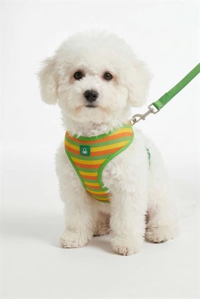 BNT-A2506 Hava Ağ Yeşil