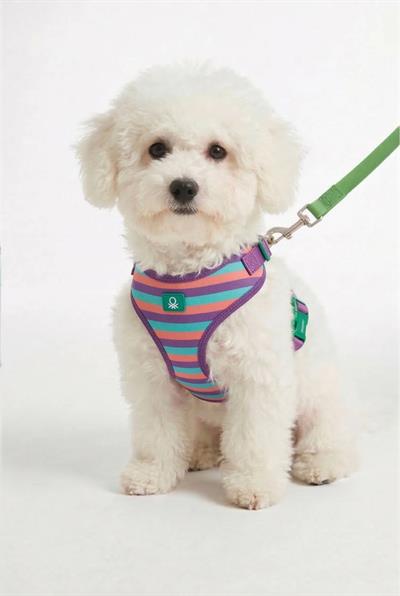 BNT-A2508 Hava Ağ mix