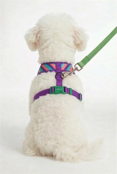 BNT-A2508 Hava Ağ mix