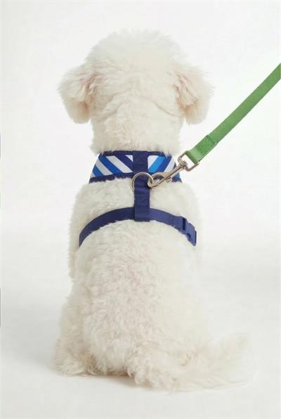 BNT-A2509 Hava Ağ mix