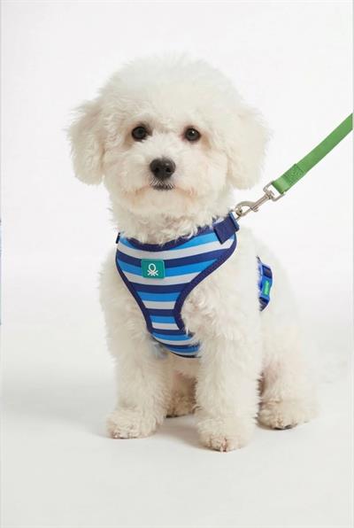 BNT-A2509 Hava Ağ mix