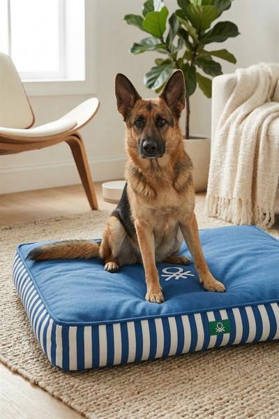 BNT-B2503-C Kedi & Köpek Yatağı  MAVİ ÇİZGİLİ 80 x 65 cm