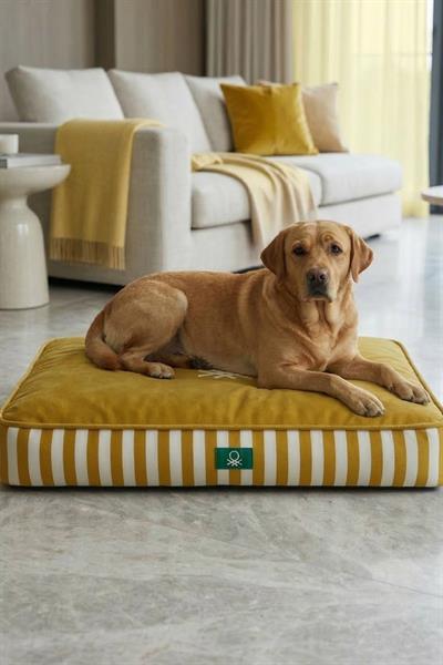 BNT-B2504-C Kedi & Köpek Yatağı  Sarı Çizgili 80 x 65 cm