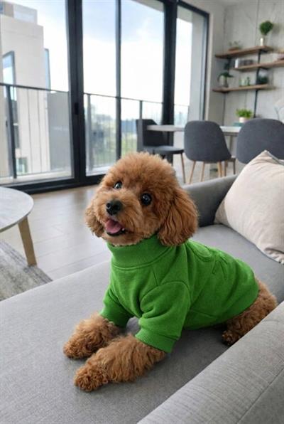 BNT-J2501 Ceket Yeşil