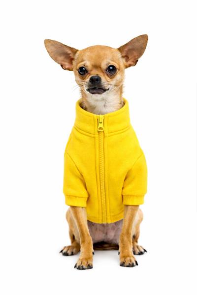 BNT-J2502 Ceket haki