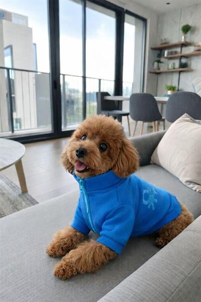 BNT-J2503 Ceket Mavi