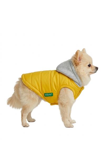 BNT-RC2501 Yelek Yağmurluk SARI