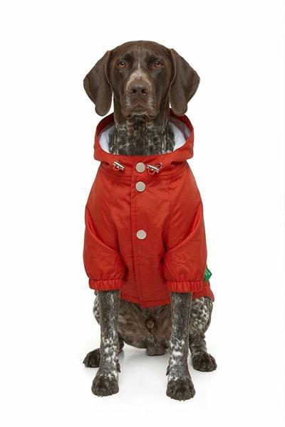 BNT-RC2502 Yağmurluk Kırmızı