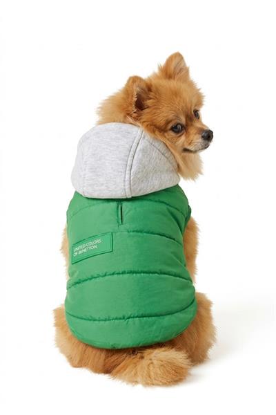 BNT-RC2502 Yelek Yağmurluk Yeşil