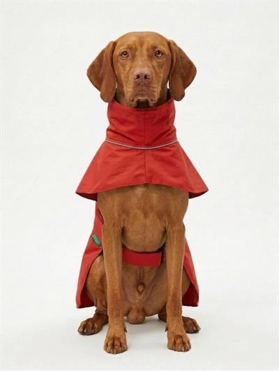 BNT-RC2507 Yağmurluk Kırmızı