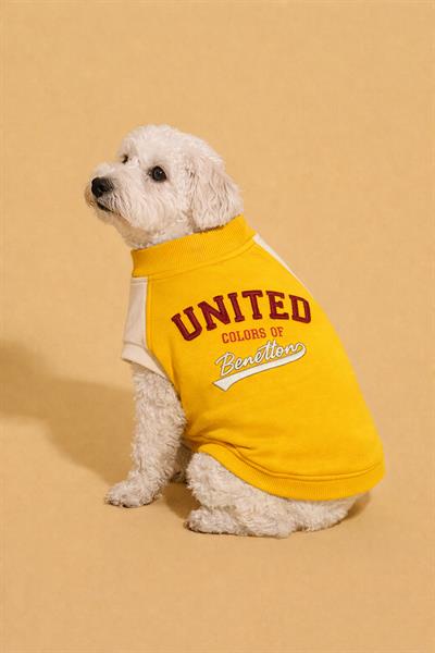 BNT-S2501 Sweatshirt SARI