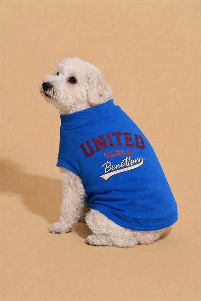 BNT-S2502 Sweatshirt Mavi