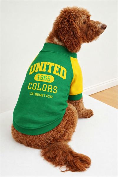 BNT-S2504 Sweatshirt Yeşil