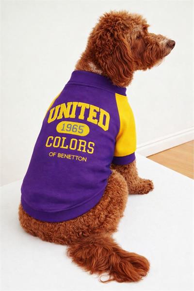 BNT-S2506 Sweatshirt Lacivert