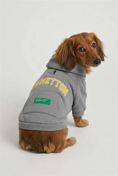 BNT-S2508 Kapişonlu Sweatshirt GRİ