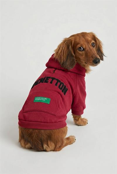 BNT-S2509 Kapişonlu Sweatshirt Kırmızı
