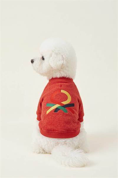 BNT-S2510 Sweatshirt Kırmızı