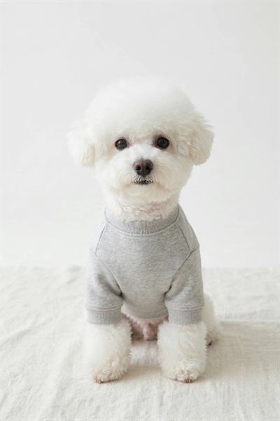 BNT-S2511 Sweatshirt AÇIK GRİ
