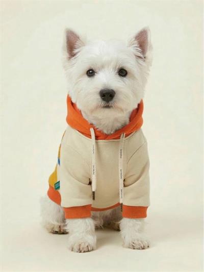BNT-S2512 Kapişonlu Sweatshirt Lacivert