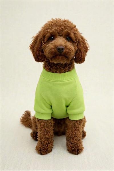 BNT-S2515 Sweatshirt Açık Yeşil