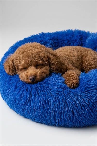 BNTMKT-0012-2-BL Uzun Kürklü Donut Kedi&Köpek Yatağı Mavi 55 CM