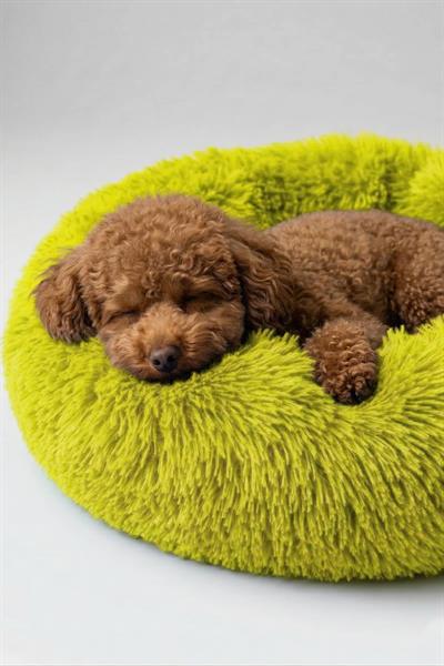 BNTMKT-0012-2-YE Uzun Kürklü Donut Kedi&Köpek Yatağı SARI 55 CM