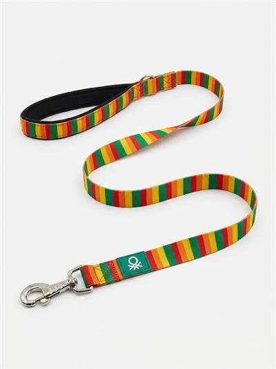BNTMKT-0041-DS-1 Kedi &Köpek Ağ Tasma  mix 1,5x120cm