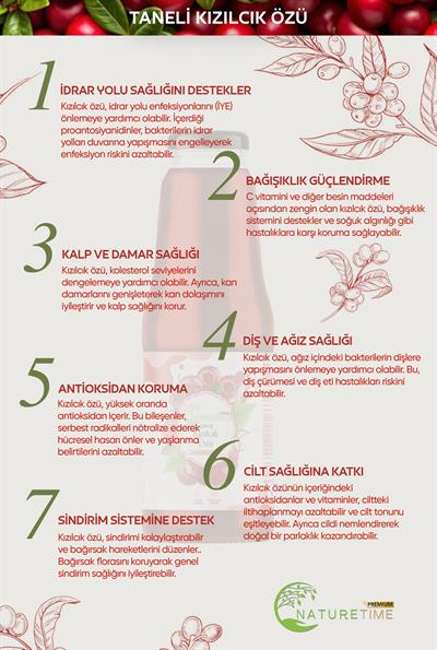 Taneli Kızılcık Özü 1350 gr