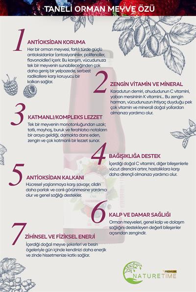 Taneli Orman Meyve Özü 1350 Gr