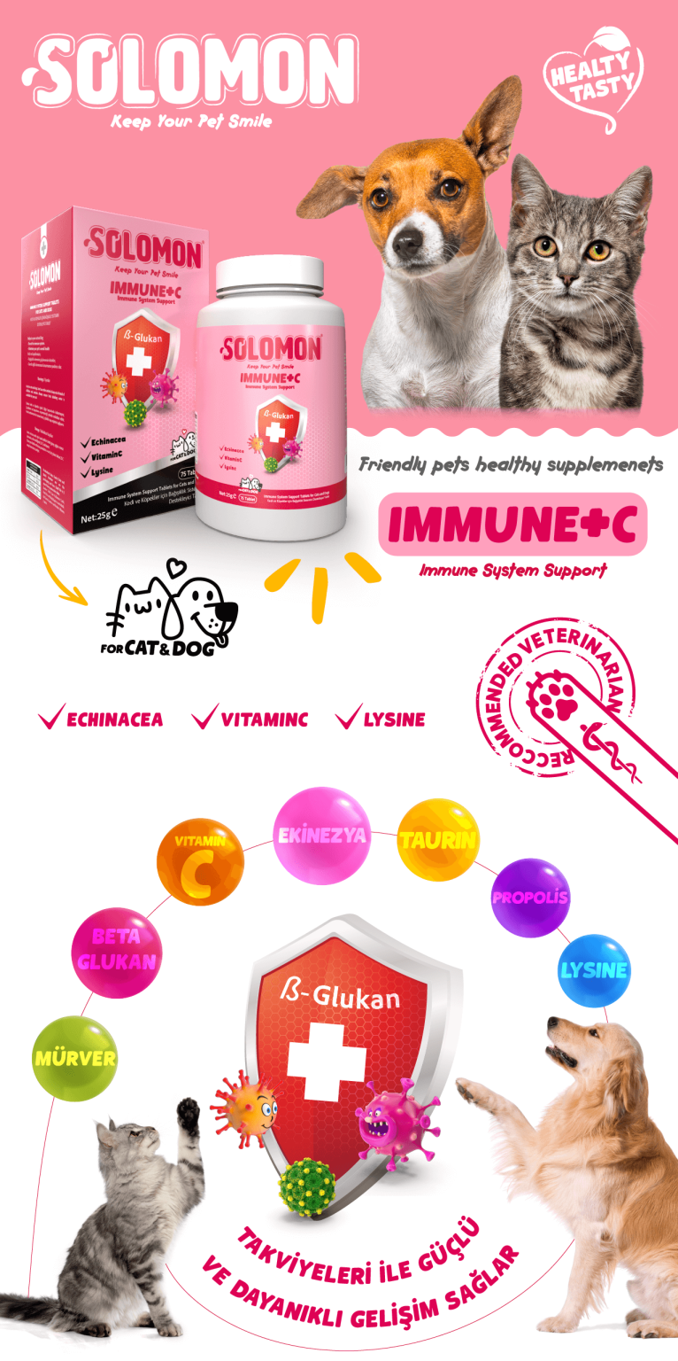 Solomon Immune+C Tablet - for cat & dog - bileşenler