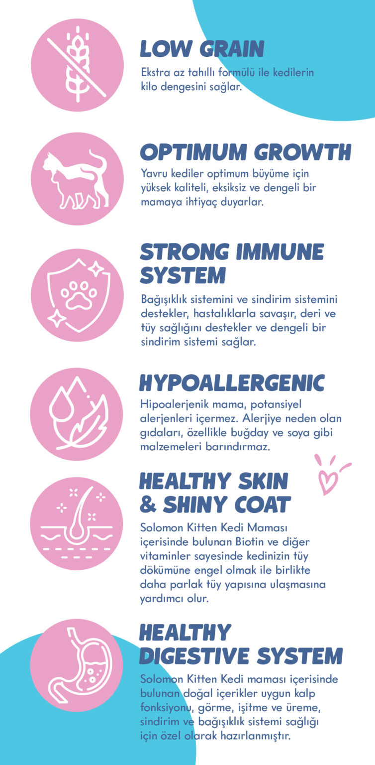 Solomon Kitten özellikler - low grain, optimum growth, strong immune system, hypoallergenic, skin coat, digestive