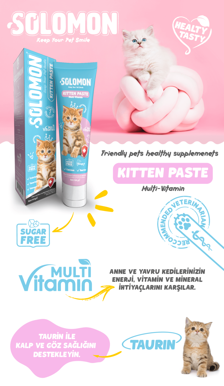 Solomon Kitten Paste görsel 1