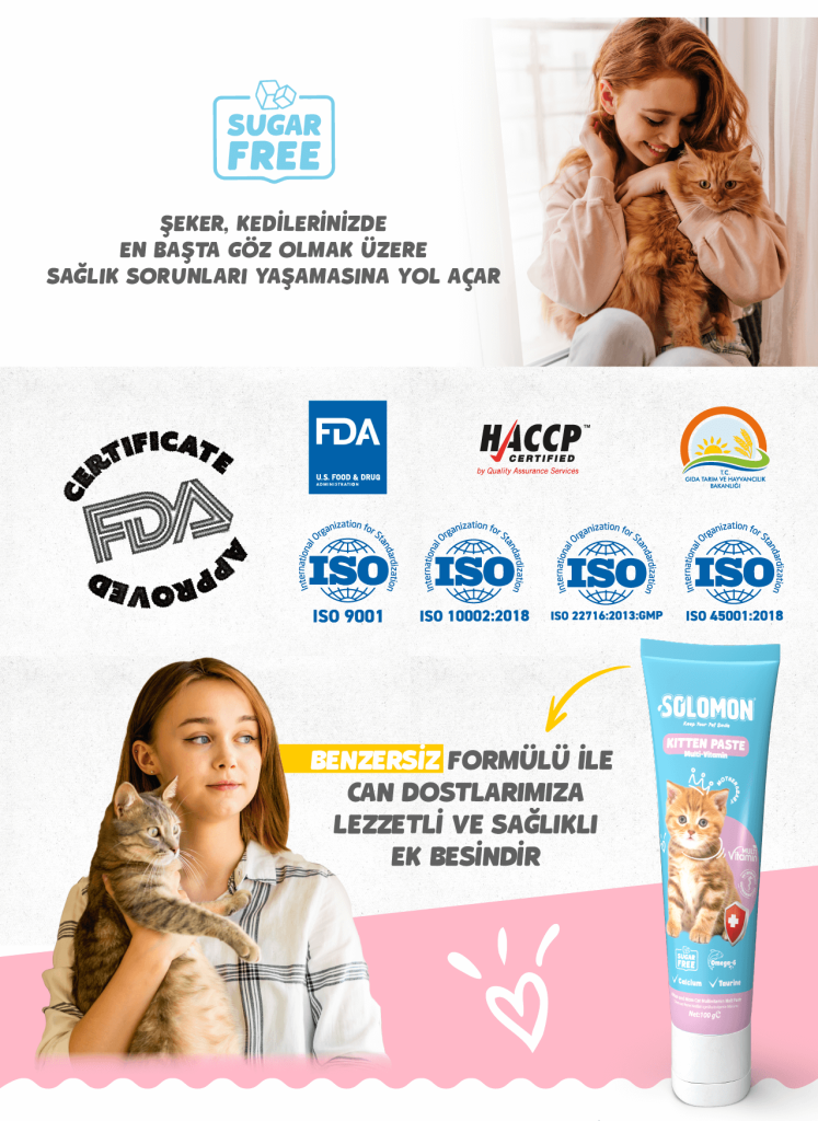 Solomon Kitten Paste görsel 2