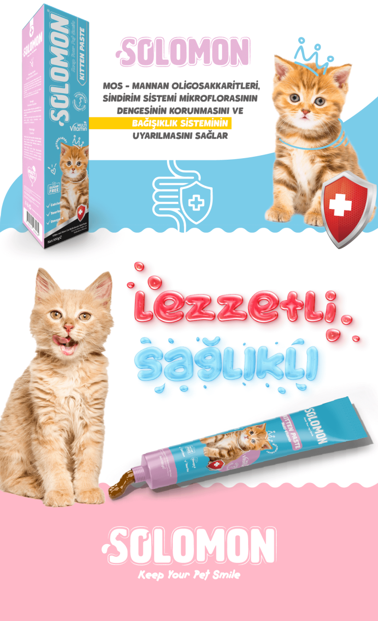 Solomon Kitten Paste görsel 3