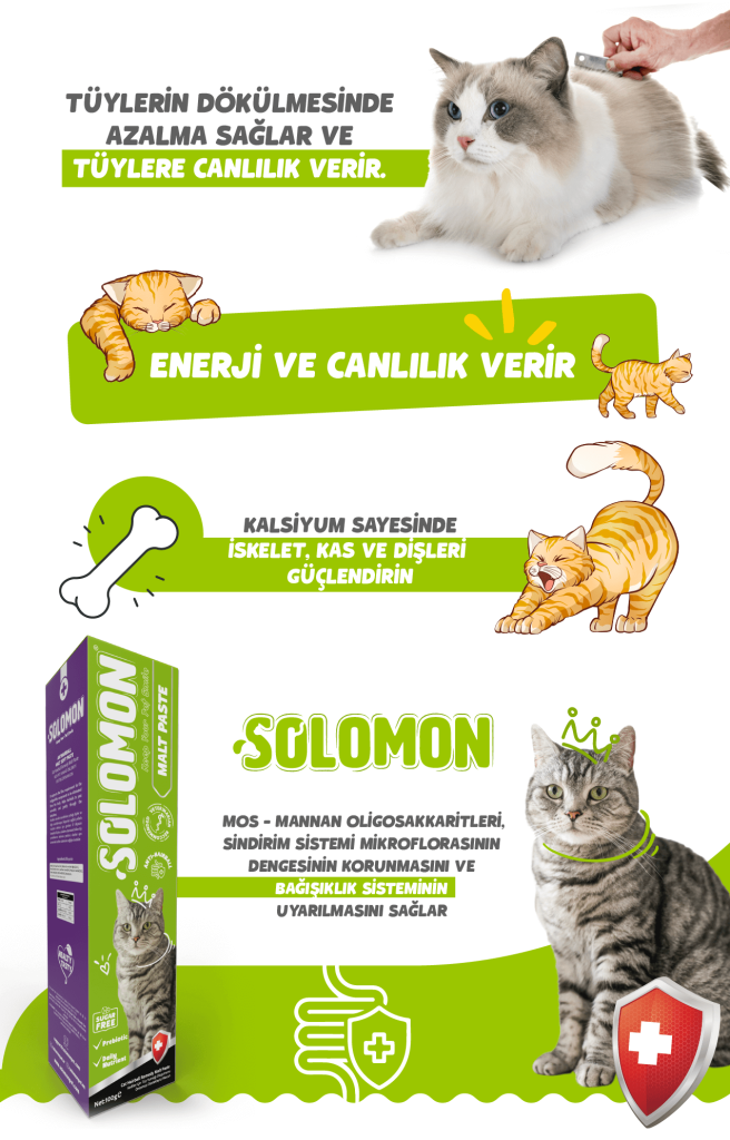 Solomon Malt Paste faydalar görseli