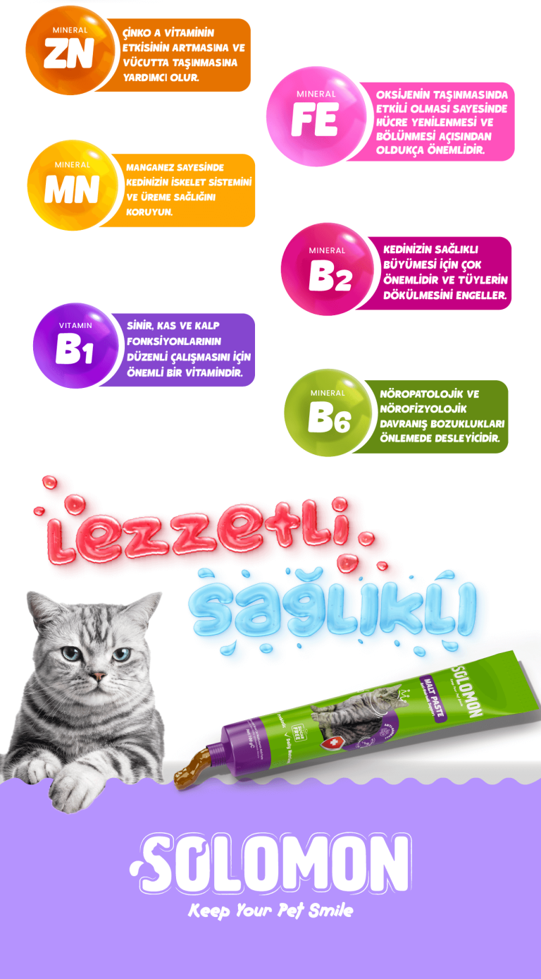 Solomon Malt Paste mineral ve vitamin görseli: ZN, FE, MN, B1, B2, B6