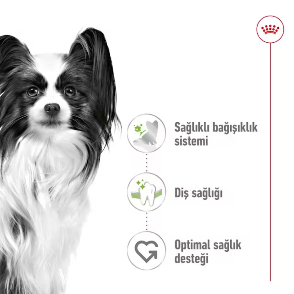 Sağlıklı bağışıklık sistemi, diş sağlığı ve optimal sağlık desteği ikonları