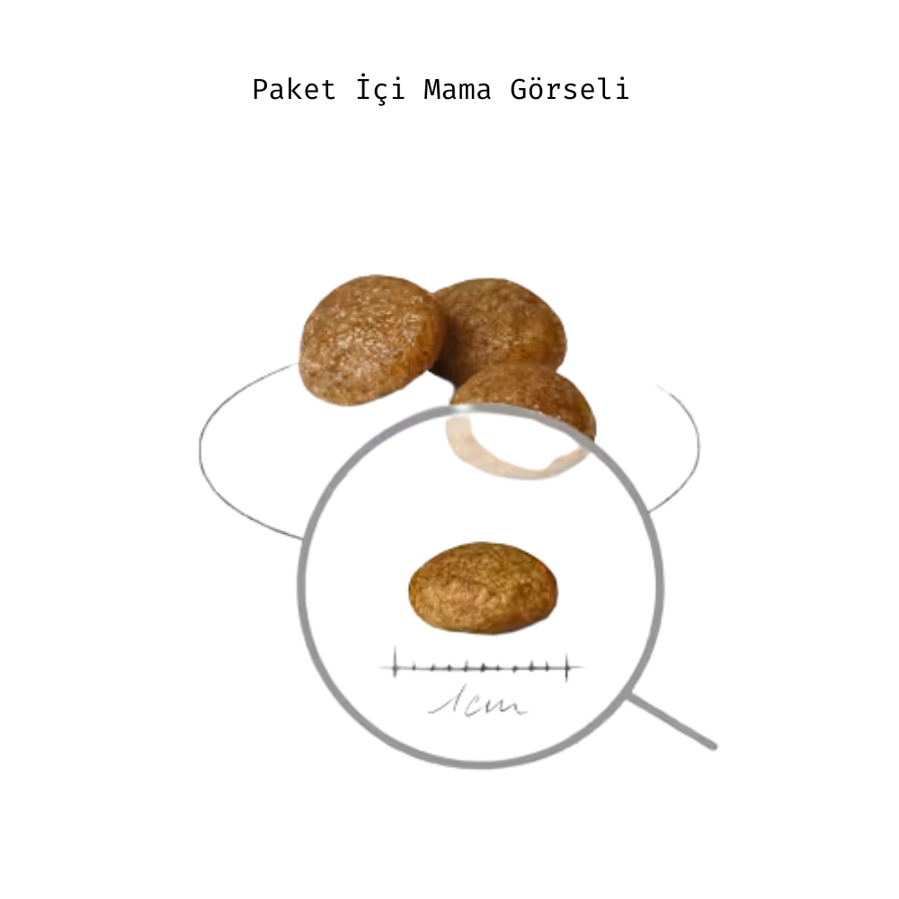 Royal Canin X-Small Adult mama tanesi yaklaşık 1 cm boyut görseli