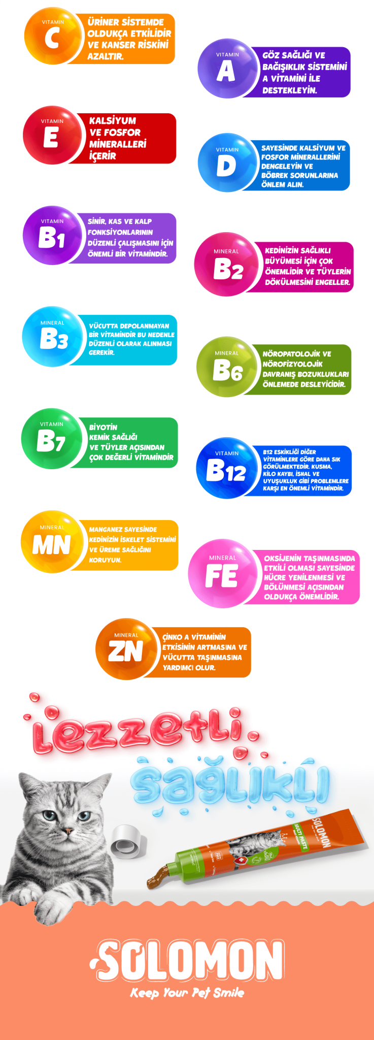 Solomon Multi Paste görsel 3