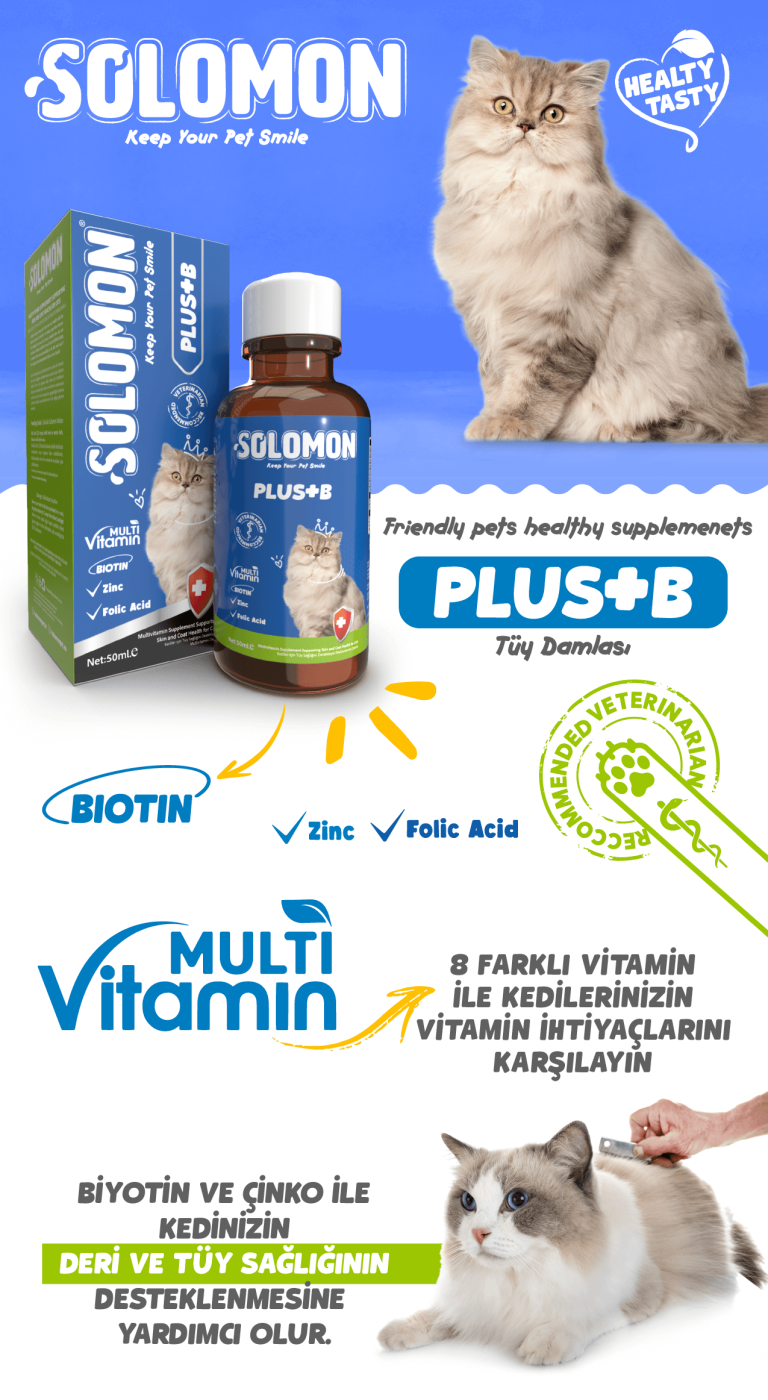 Solomon PLUS+B görsel 1